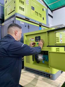 revision-generador-AKX-GENERATOR