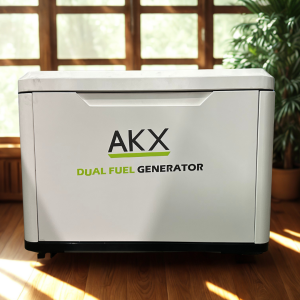 10kva-AKX-generator